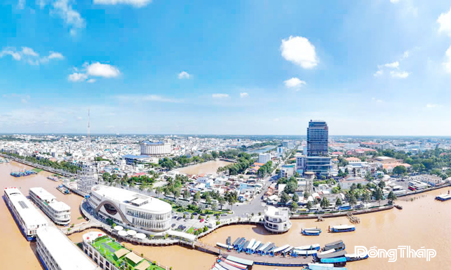 Khởi đầu và kỳ vọng