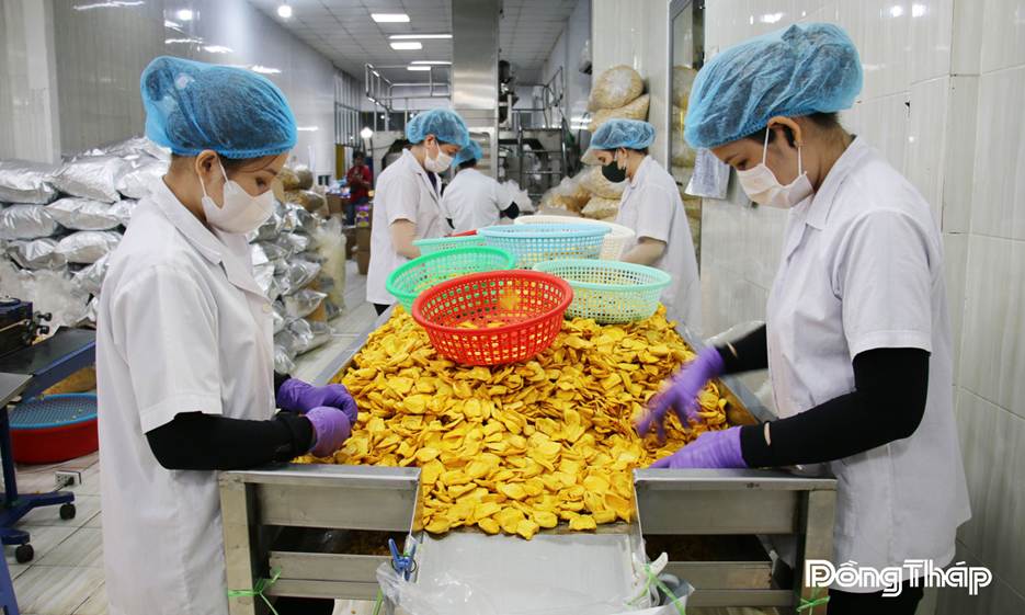 Công ty TNHH MTV Nam Huy Đồng Tháp tập trung phát triển sản phẩm trái cây sấy phục vụ thị trường. 