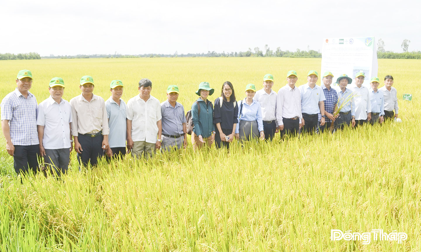 Đồng Tháp xây dựng chuỗi giá trị nông sản: Đòn bẩy phát triển bền vững