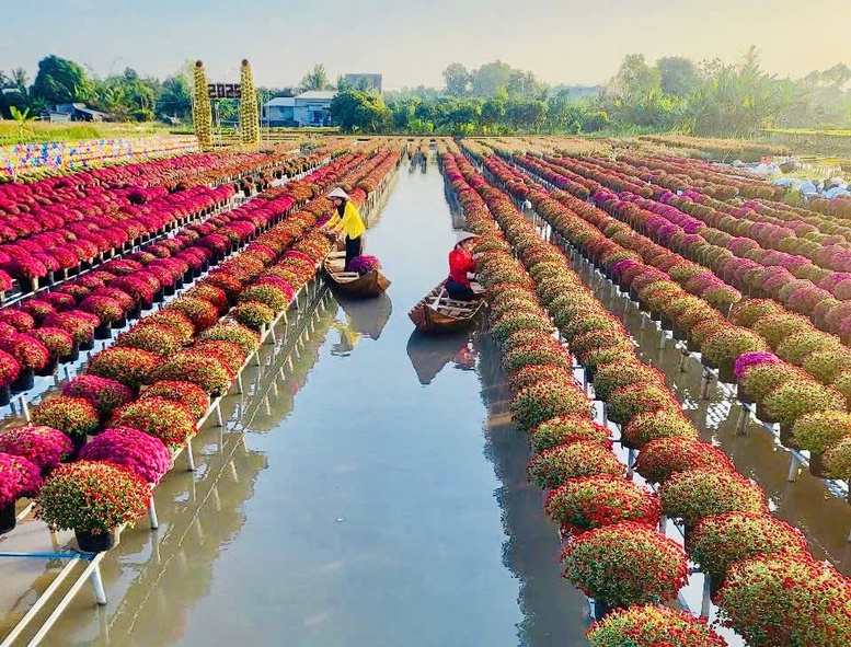 Festival Hoa - Kiểng Sa Đéc lần thứ II