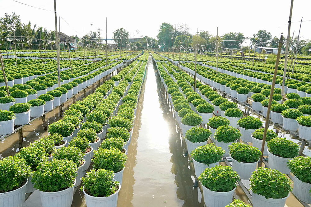 Đẩy nhanh tiến độ thi công các công trình phục vụ Festival Hoa - Kiểng