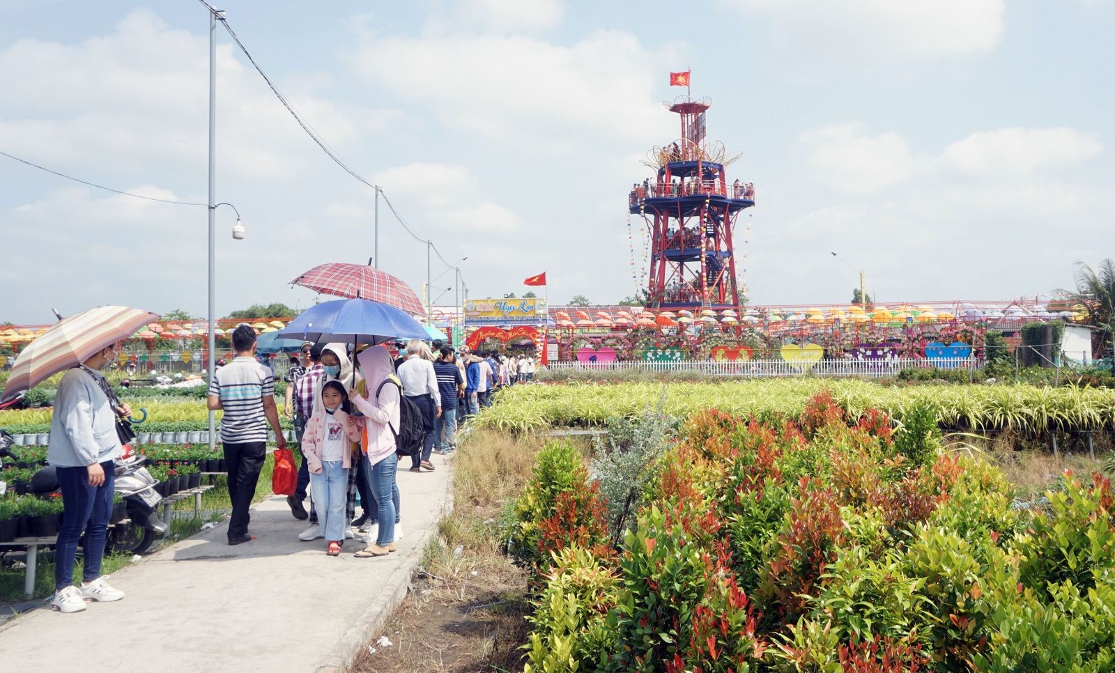 FLOWER VIEWING STATION