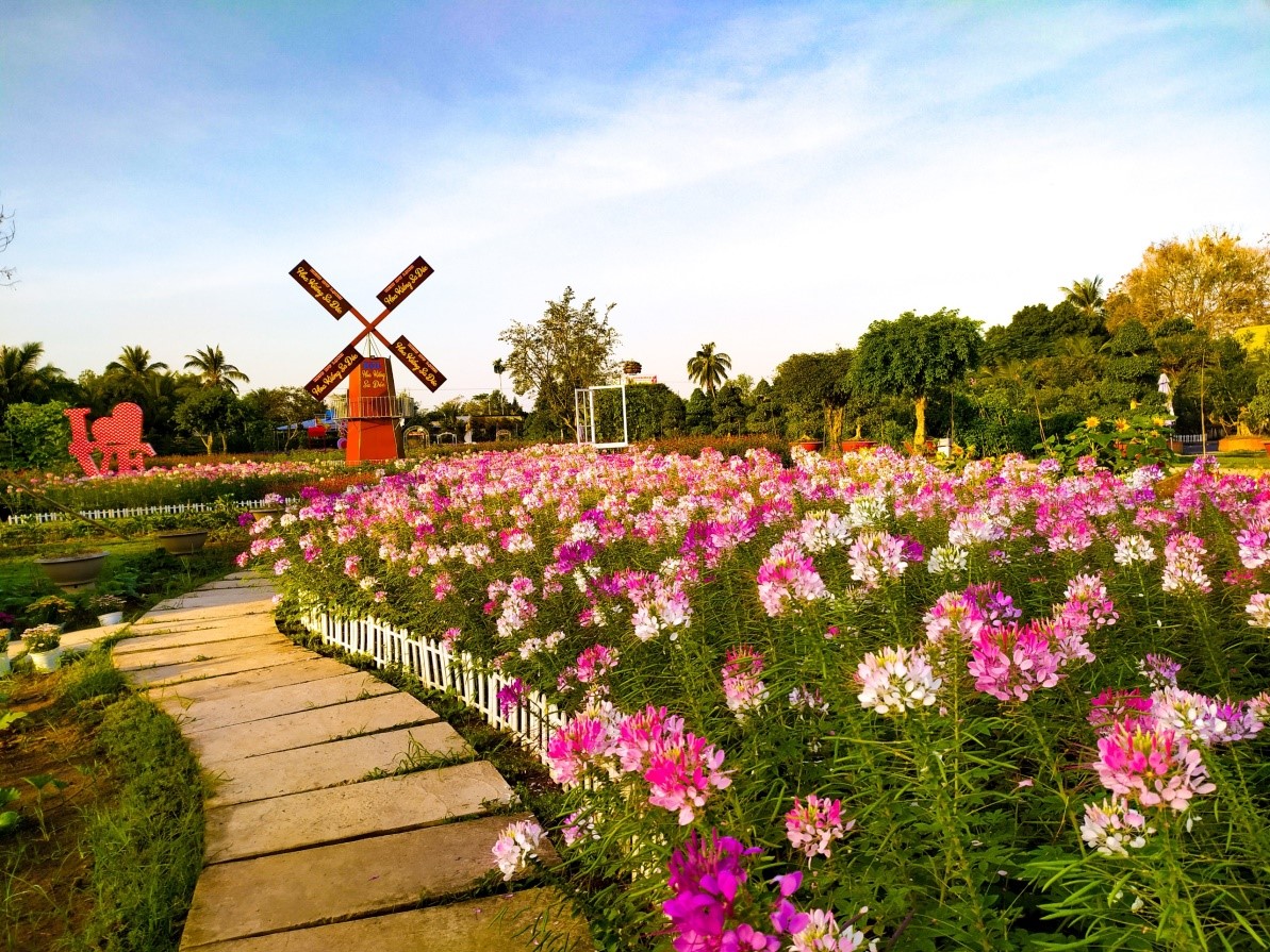 DU LỊCH HOA KIỂNG SA ĐÉC