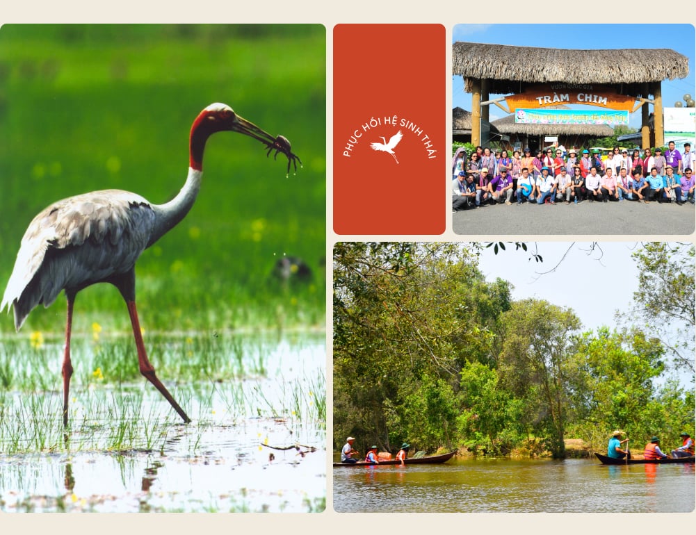 tri thuc hoa nong dan