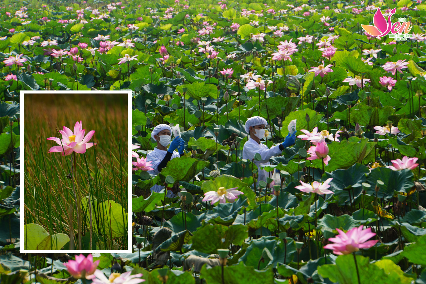 tri thuc hoa nong dan