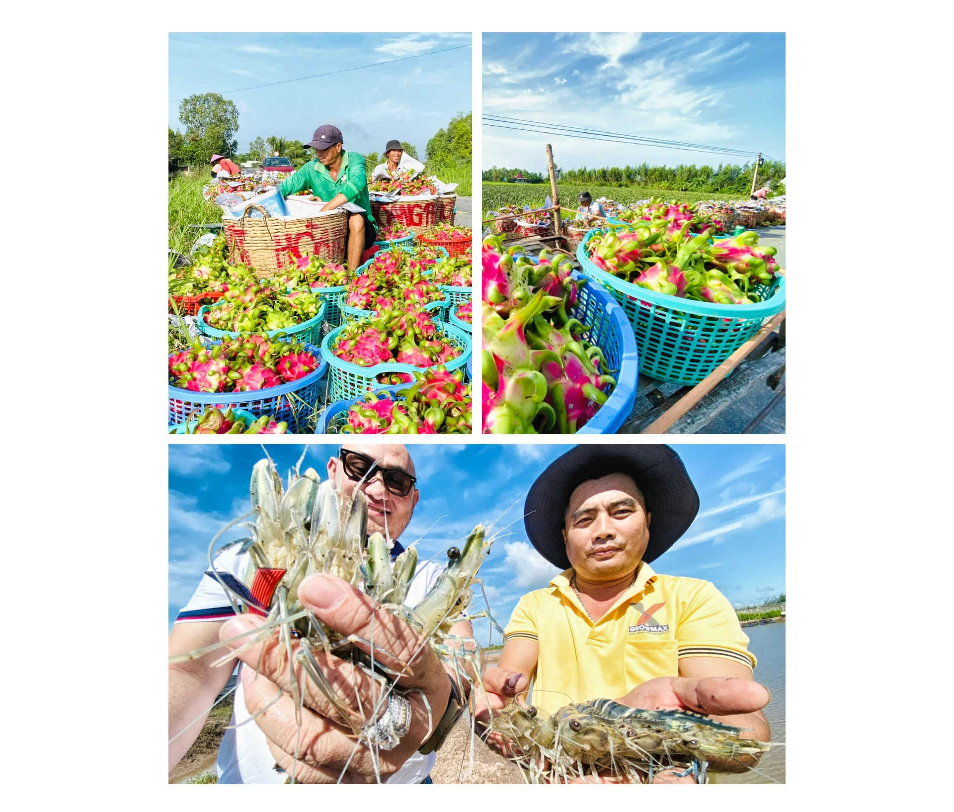 tri thuc hoa nong dan