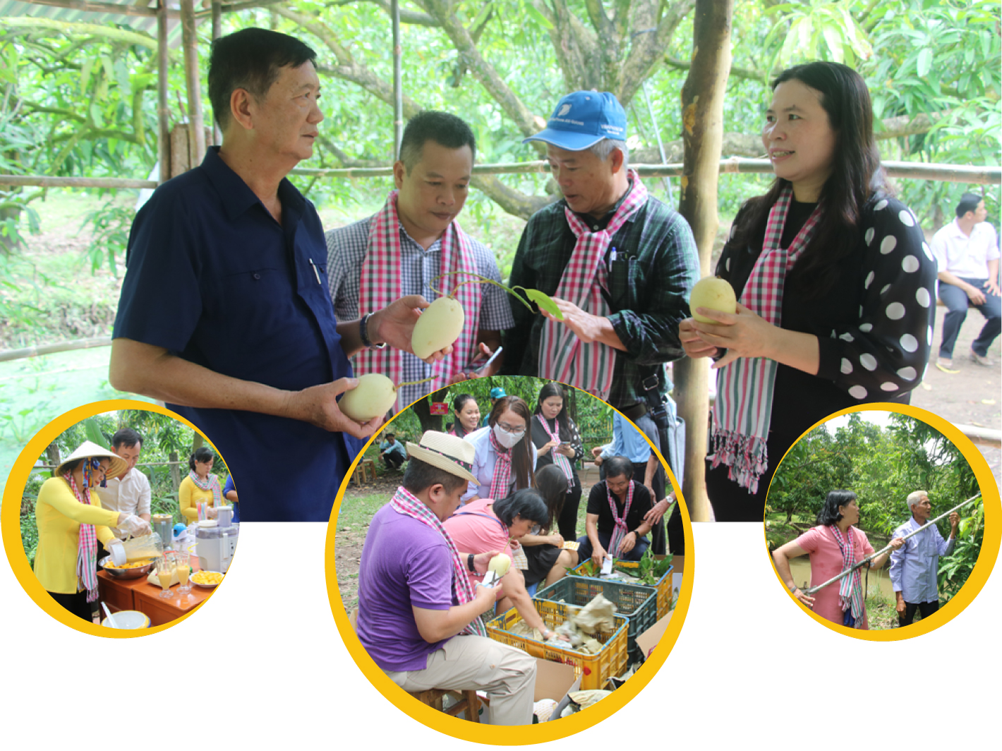 tri thuc hoa nong dan