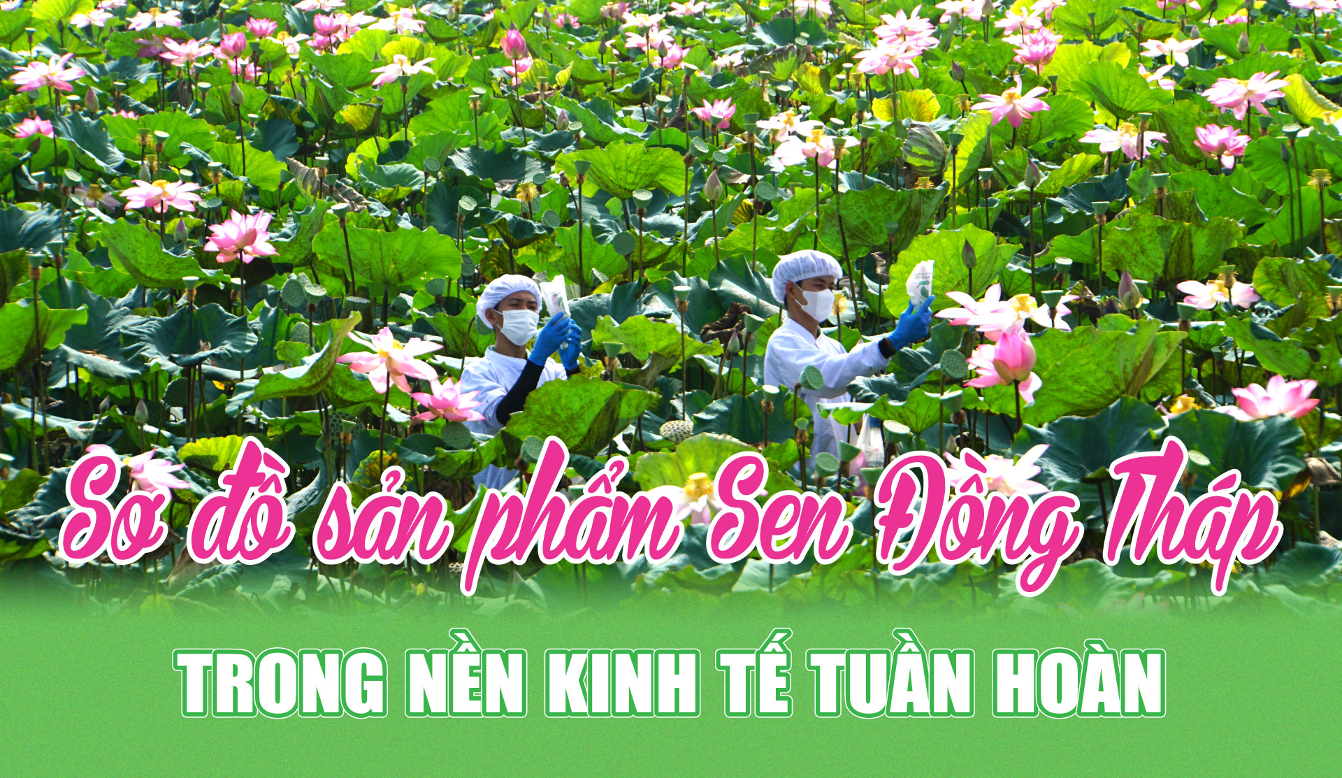 tri thuc hoa nong dan