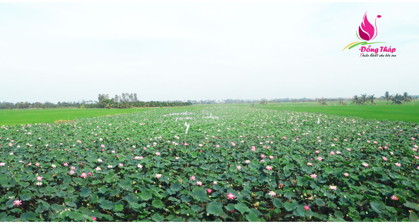 tri thuc hoa nong dan