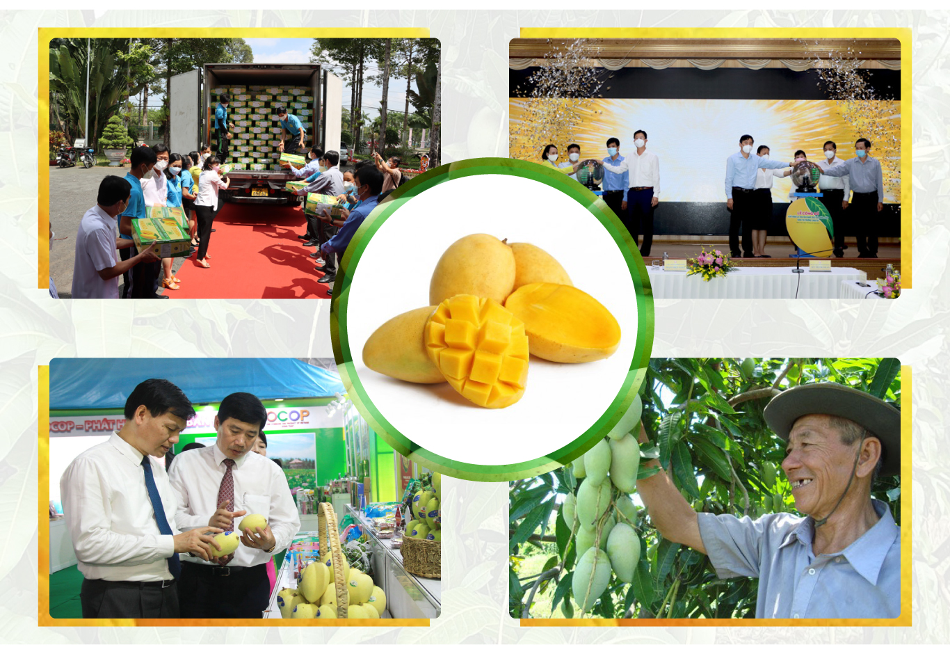 tri thuc hoa nong dan