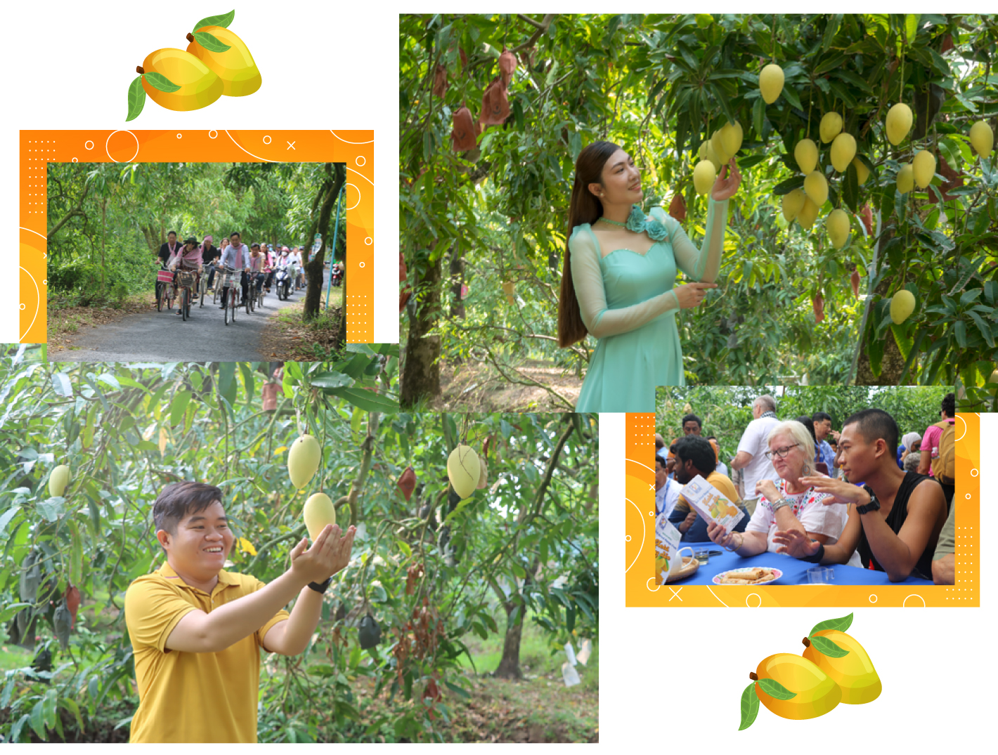 tri thuc hoa nong dan