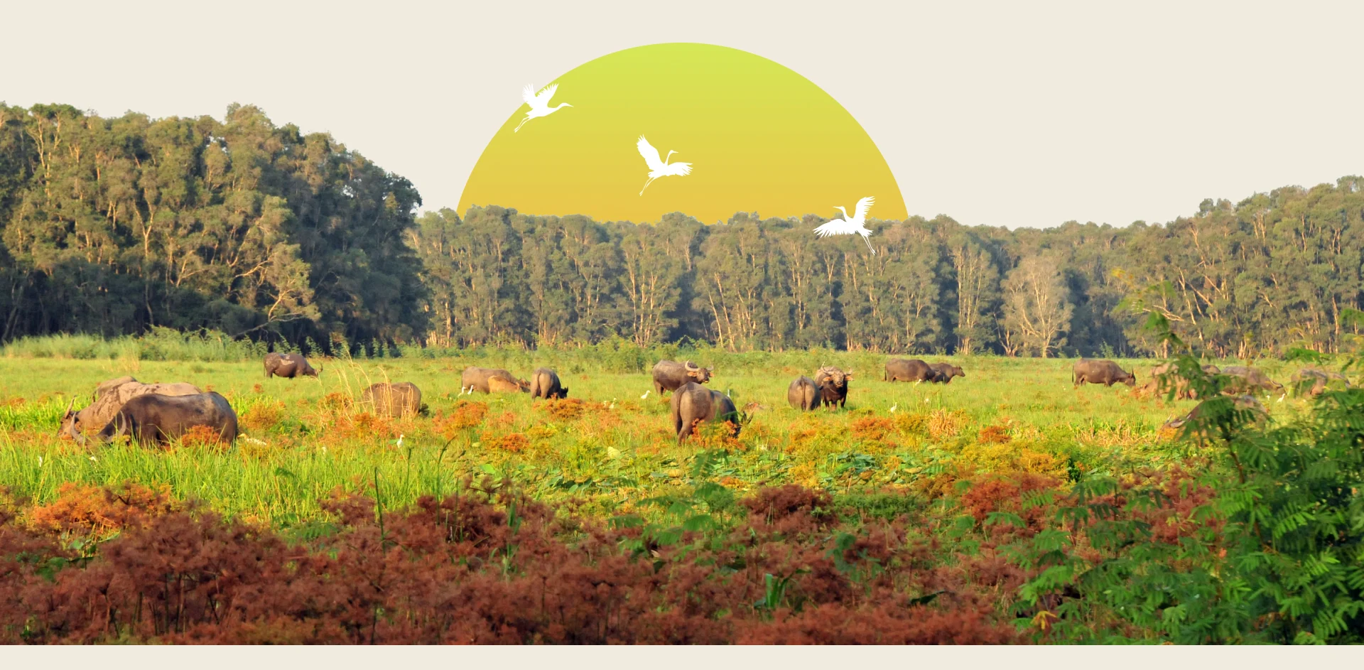 tri thuc hoa nong dan