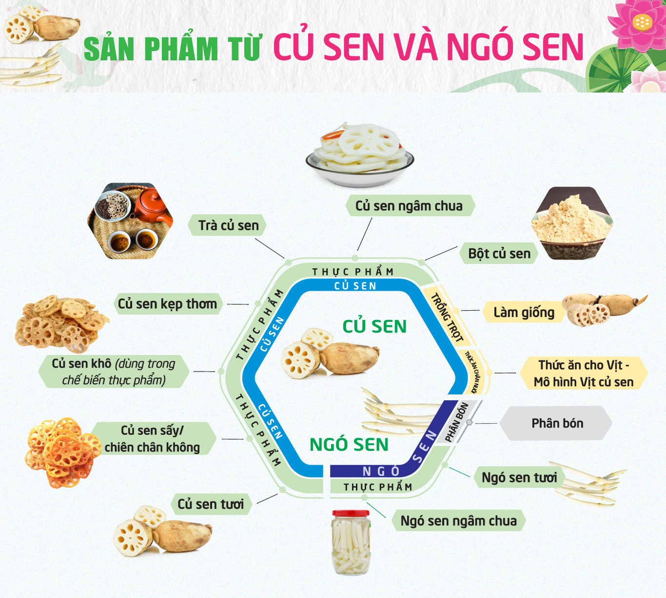 tri thuc hoa nong dan