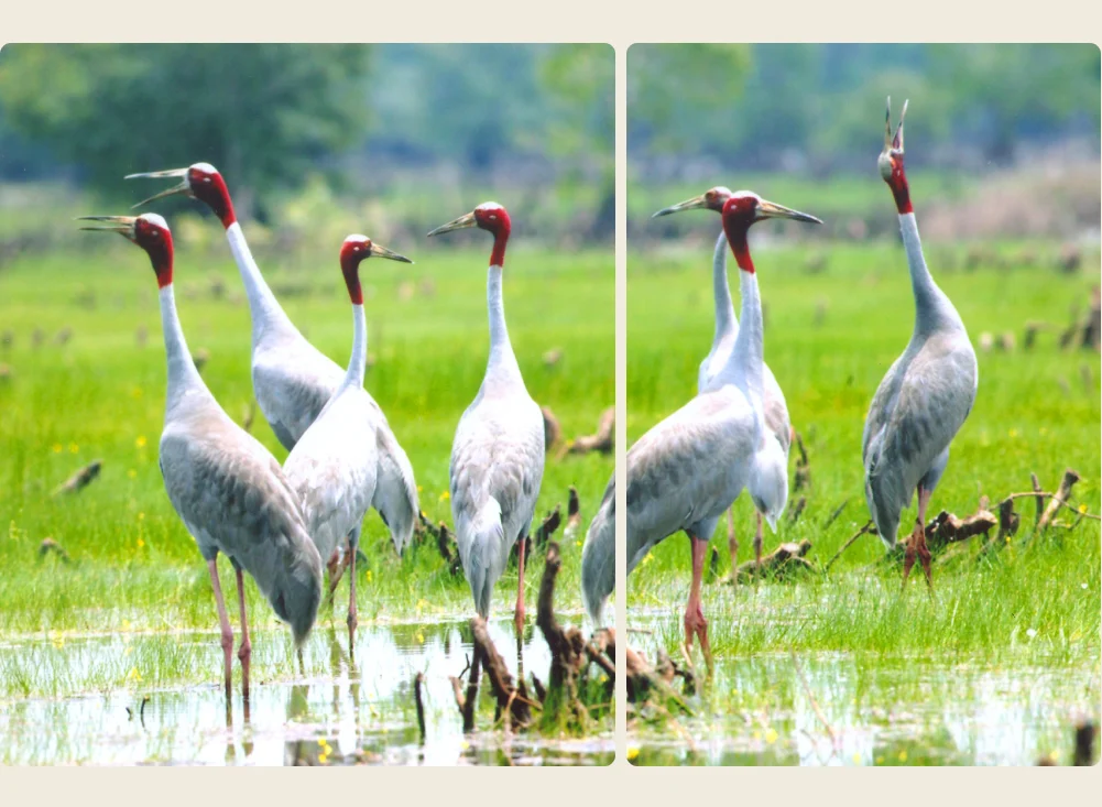 tri thuc hoa nong dan