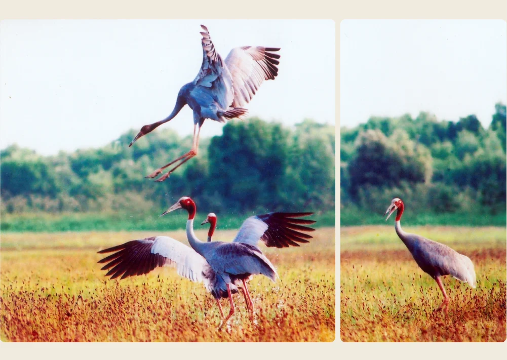 tri thuc hoa nong dan