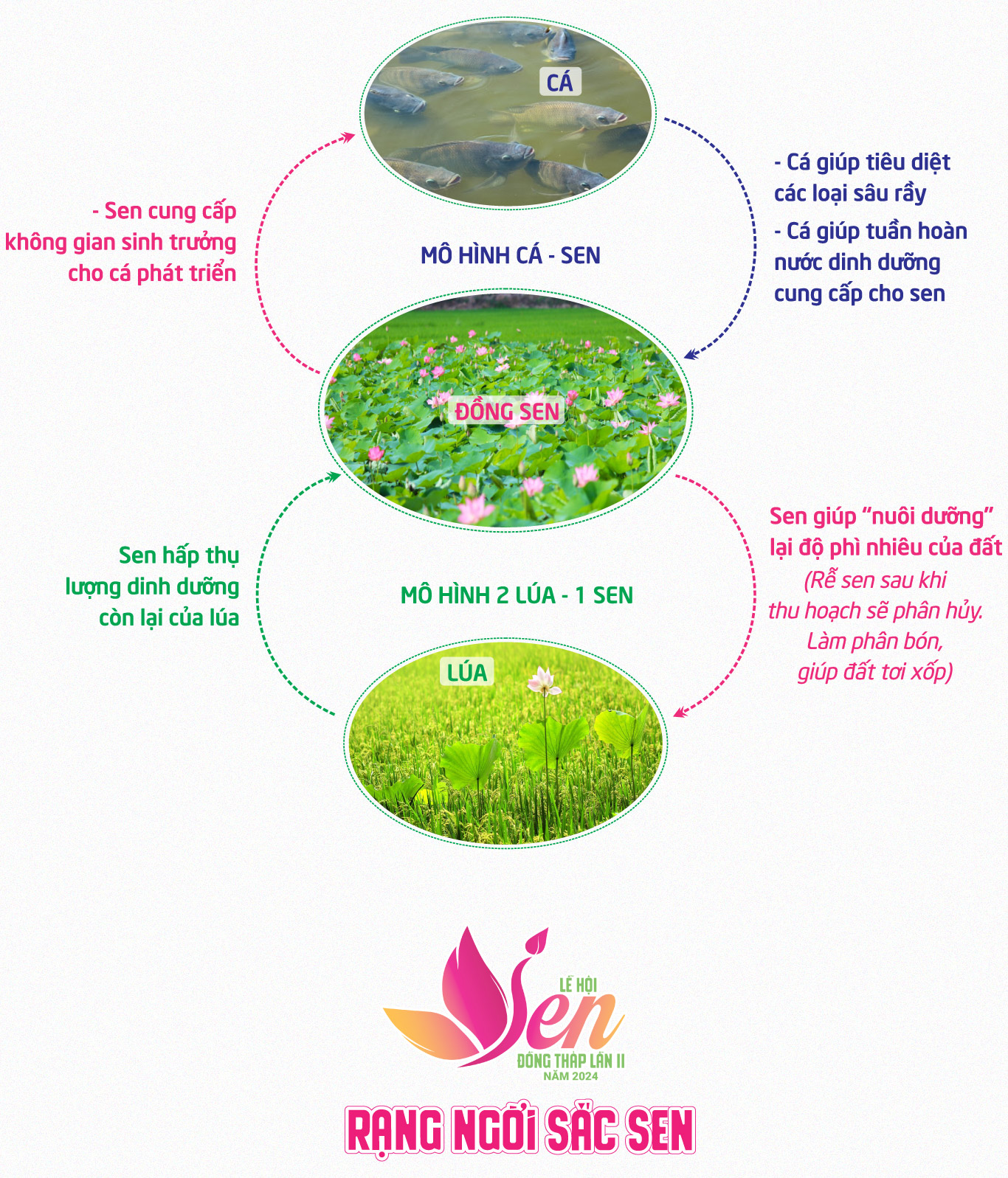 tri thuc hoa nong dan