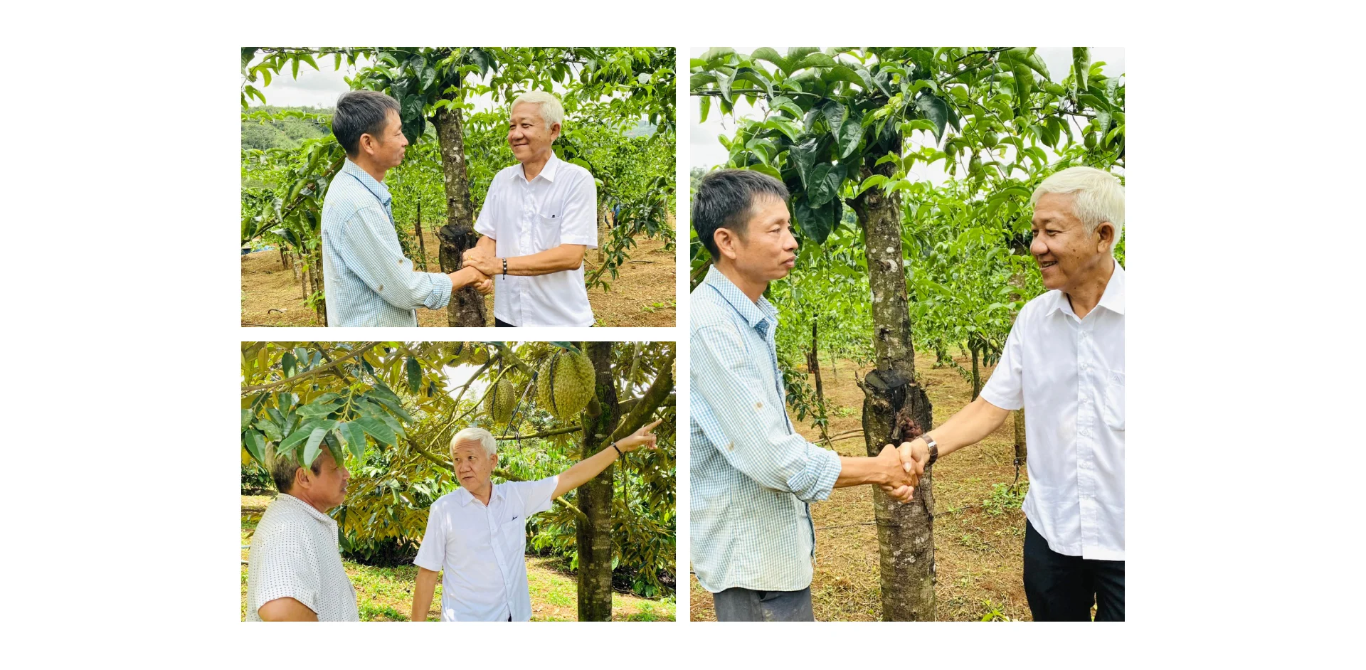 tri thuc hoa nong dan