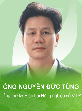 tieu de