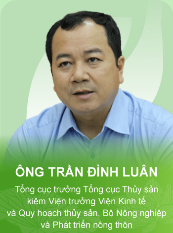 tieu de